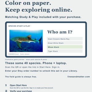 Puede incluir: Una tarjeta de juego educativa titulada Species Study & Play que presenta una fotograf&iacute;a de un tibur&oacute;n ballena y una pregunta de opci&oacute;n m&uacute;ltiple Who am I? con opciones como Giant Oceanic Manta Ray, Great White Shark, Whale Shark y Tiger Shark.