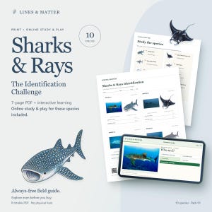 May include: A 7-page PDF educational set titled Sharks & Rays The Identification Challenge featuring 10 species. Includes printable worksheets with shark and ray illustrations, identification fields, and a digital interface showing a whale shark quiz.
