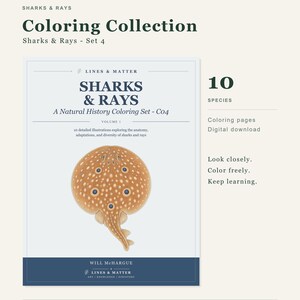 Op de afbeelding: Een digitale kleurcollectie getiteld Sharks & Rays - Set 4 van Lines & Matter. De omslag bevat een illustratie van een beige, gevlekte rog, de tekst A Natural History Coloring Set - C04, 10 soorten en kleurplaten voor digitale download.