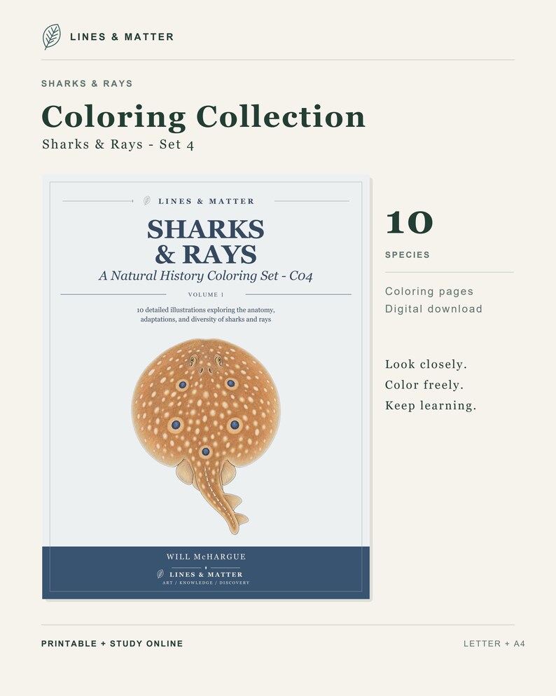 Op de afbeelding: Een digitale kleurcollectie getiteld Sharks & Rays - Set 4 van Lines & Matter. De omslag bevat een illustratie van een beige, gevlekte rog, de tekst A Natural History Coloring Set - C04, 10 soorten en kleurplaten voor digitale download.