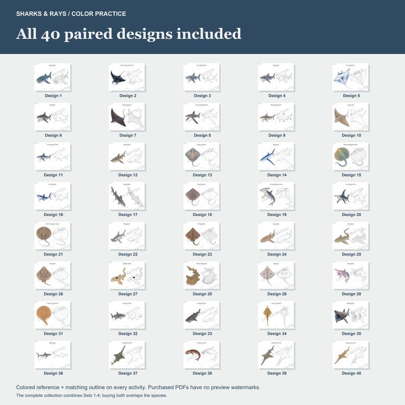 May include: A collection of 40 paired designs featuring sharks and rays for color practice. Each entry includes a colored reference image alongside a matching line art outline. The text reads SHARKS & RAYS / COLOR PRACTICE and All 40 paired designs included.