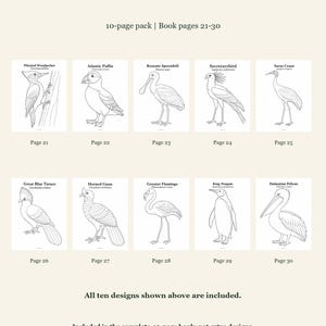 Birds Coloring Pages 21-30: 10-Page Printable Pack, Digital PDF