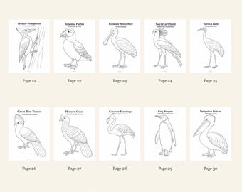 Birds Coloring Pages 21-30: 10-Page Printable Pack, Digital PDF