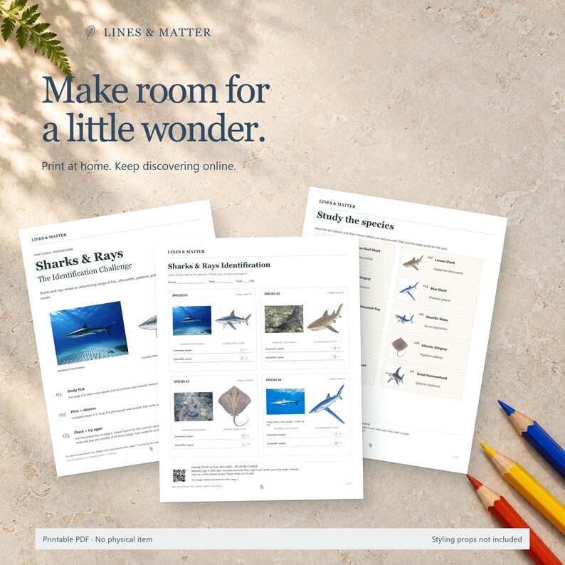 May include: Three white paper sheets featuring a Sharks & Rays identification challenge with educational text, shark and ray illustrations, and blank lines for writing. The pages include the text Lines & Matter, Make room for a little wonder.