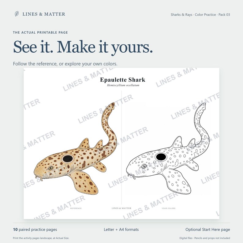 May include: A printable coloring page featuring an Epaulette Shark, Hemiscyllium ocellatum. The page displays a colored reference illustration on the left and a black and white line art version on the right for coloring practice, with the text See it. Make it yours.