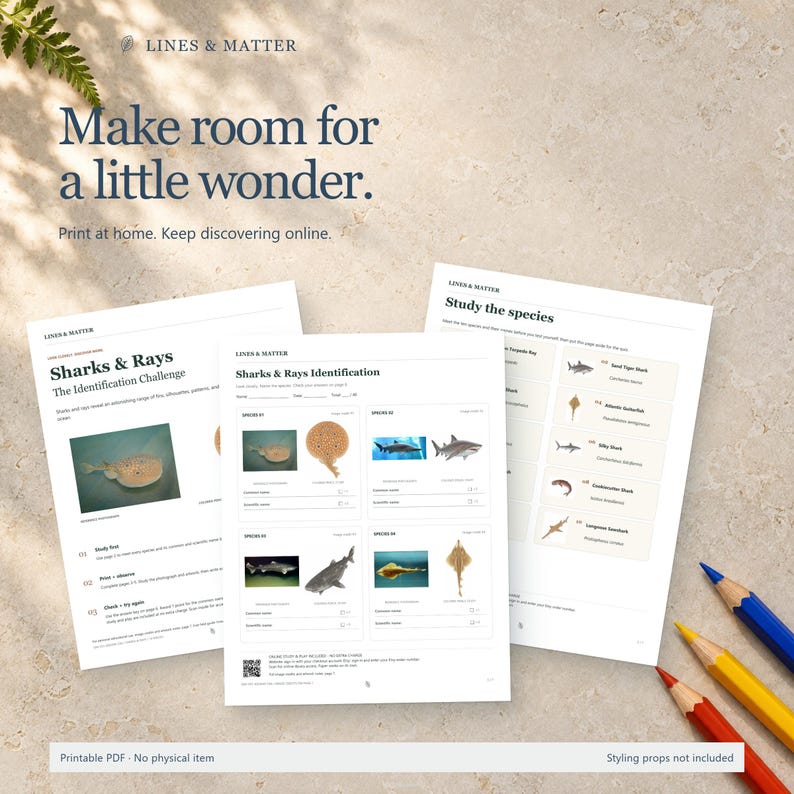 K&ouml;nnte beinhalten: Drei wei&szlig;e Papierb&ouml;gen mit einer Haie- und Rochen-Identifikationsaufgabe, inklusive Text, Diagrammen und Farbfotos verschiedener Meeresarten. Die Seiten enthalten &Uuml;berschriften wie Lines & Matter, Make room for a little wonder und Study the species.