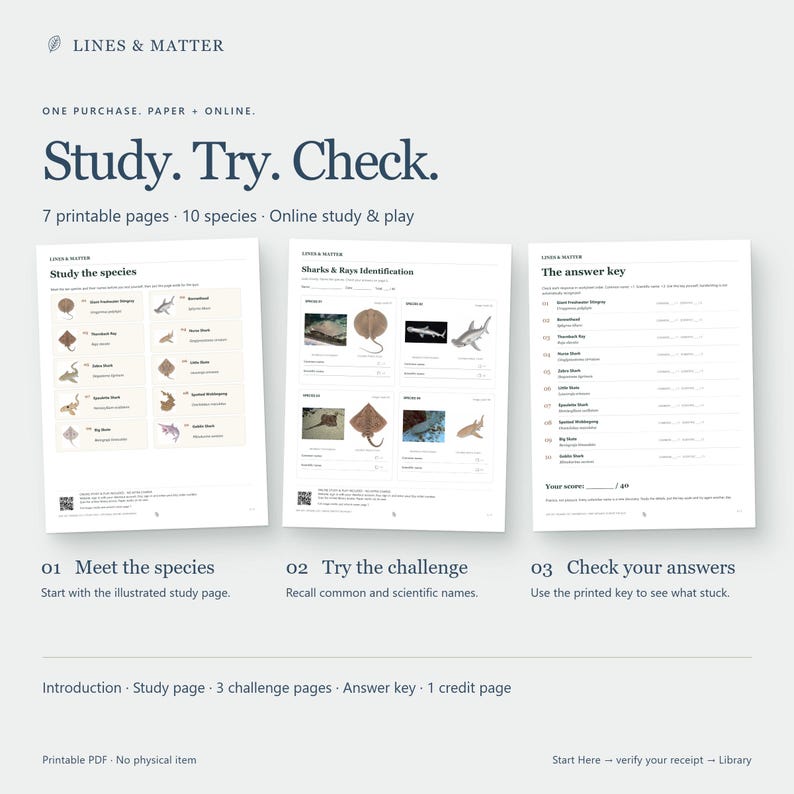 May include: A set of seven printable educational pages titled Study. Try. Check. featuring illustrations and identification challenges for ten shark and ray species. The document includes a study page, three challenge pages, and an answer key.