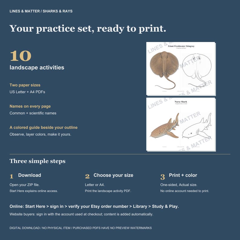 May include: A digital practice set titled Lines & Matter / Sharks & Rays featuring 10 landscape activities. The document includes colored guides and outlines for a Giant Freshwater Stingray and a Nurse Shark, with instructions for US Letter and A4 sizes.