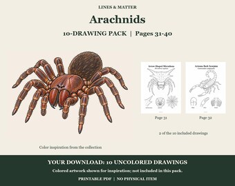 Arachnids Coloring Pages 31-40: 10-Page Printable Pack, Digital PDF