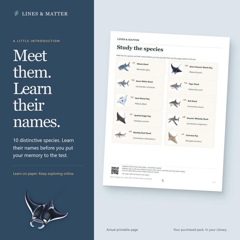 May include: A printable educational page titled Study the species featuring illustrations and names of ten marine animals including the Whale Shark, Great White Shark, and Manta Ray. The document includes a QR code and text instructions.