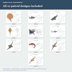 May include: A digital collection of 10 paired designs featuring sharks and rays. Each design includes a colored reference illustration alongside a matching black and white line art outline for coloring practice, labeled Design 1 through Design 10.
