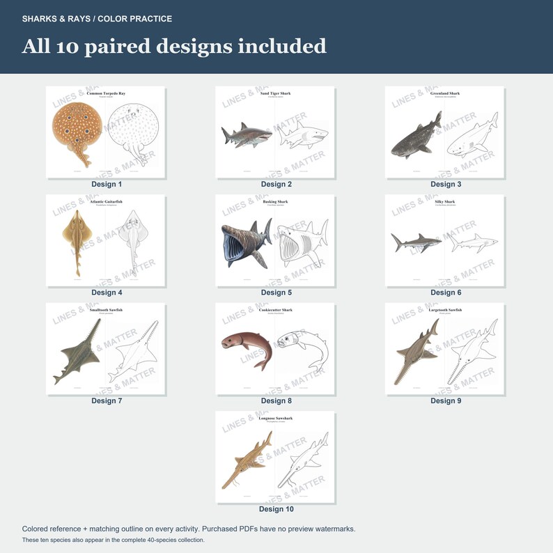 May include: A digital collection of 10 paired designs featuring sharks and rays. Each design includes a colored reference illustration alongside a matching black and white line art outline for coloring practice, labeled Design 1 through Design 10.