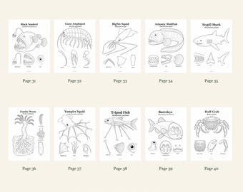 Deep Sea Coloring Pages 31-40: 10-Page Printable Pack, Digital PDF