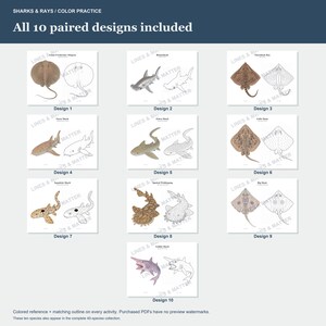 May include: A collection of ten educational activity sheets titled SHARKS & RAYS / COLOR PRACTICE. Each sheet features a colored illustration of a shark or ray paired with a matching black and white line drawing for coloring, labeled Design 1-10.
