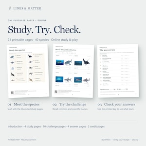 May include: A set of 21 printable pages featuring 40 shark and ray species. The document includes study pages with illustrations, identification challenge pages, and an answer key. Text includes Lines & Matter, Study. Try. Check, and species names.