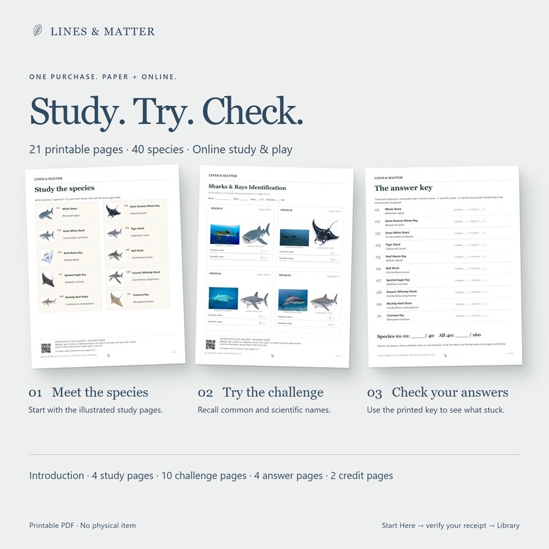 May include: A set of 21 printable pages featuring 40 shark and ray species. The document includes study pages with illustrations, identification challenge pages, and an answer key. Text includes Lines & Matter, Study. Try. Check, and species names.