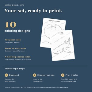 May include: A digital download set of 10 shark and ray coloring designs featuring common and scientific names. Includes US Letter and A4 PDF formats with a species index. Text includes SHARKS & RAYS / SET 3, Your set, ready to print, and Three simple steps.