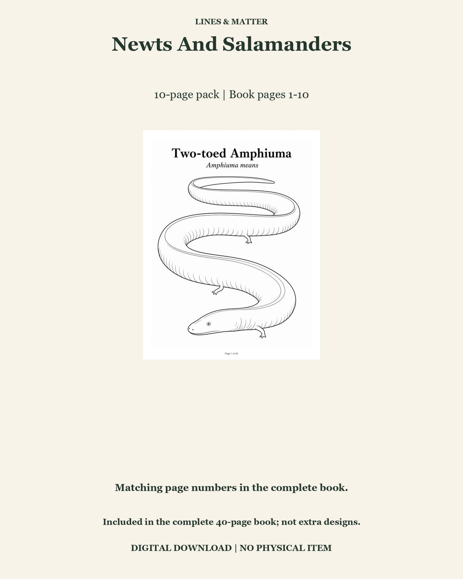 Newts and Salamanders Coloring Pages 1-10: 10-page Printable Pack ...