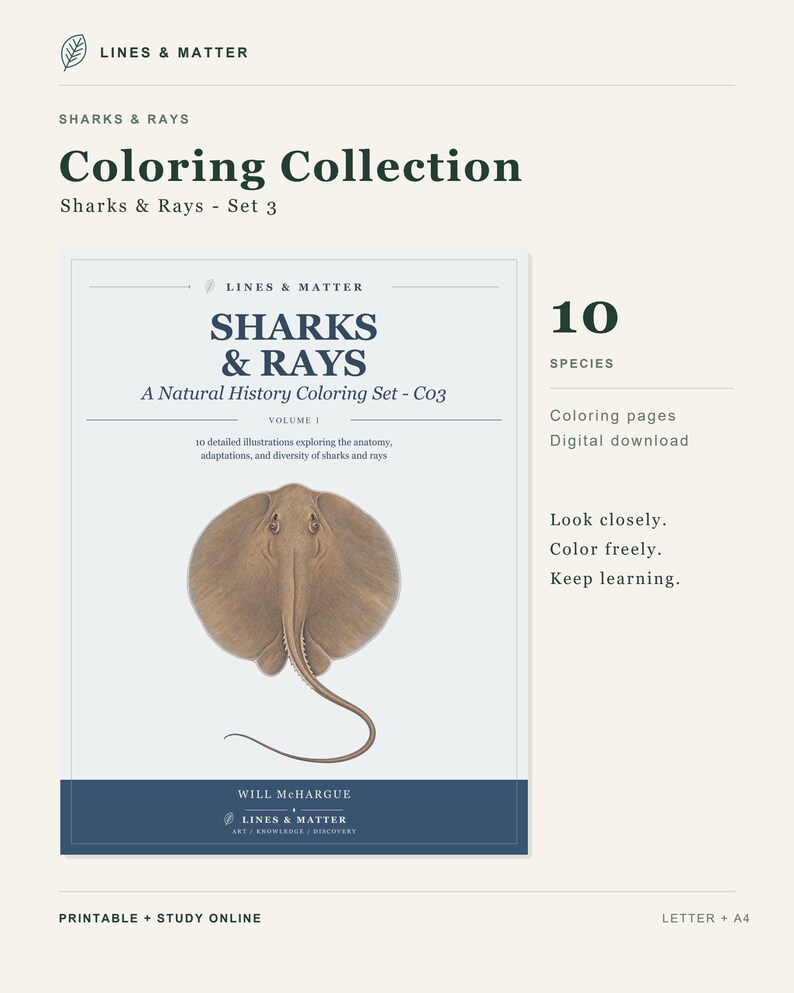 May include: A digital coloring collection titled Sharks & Rays - Set 3 by Lines & Matter. The cover features a brown stingray illustration, the text "10 species," "Coloring pages," "Digital download," and "Look closely. Color freely. Keep learning."