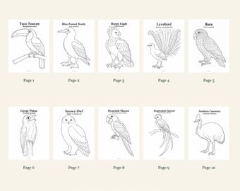 Birds Coloring Pages 1-10: 10-Page Printable Pack, Digital PDF