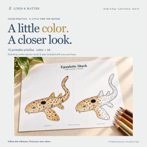 May include: A printable activity sheet titled Epaulette Shark featuring two illustrations of the shark, one fully colored and one partially colored, with the text Lines & Matter, Reference, and Your Colors printed on the white paper page.