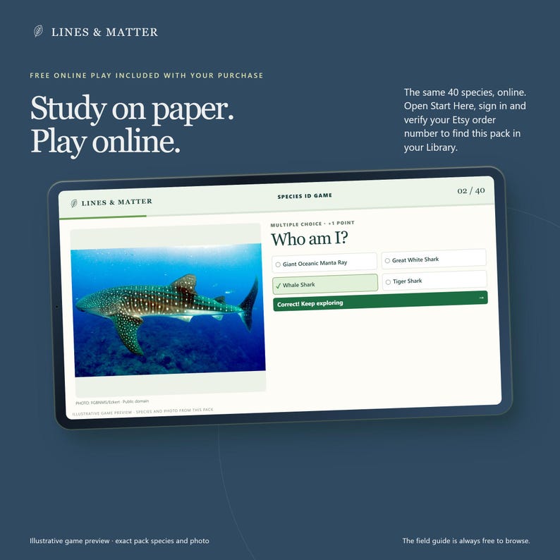 May include: A digital tablet screen displaying a Lines & Matter Species ID game. The interface shows a multiple-choice question titled Who am I? with a whale shark image. Options include Giant Oceanic Manta Ray, Great White Shark, Whale Shark, and Tiger Shark. The Whale Shark option is selected and marked as correct.