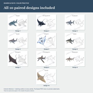 K&ouml;nnte beinhalten: Eine digitale Sammlung von 10 Ausmalbildern mit Haien und Rochen unter dem Titel SHARKS & RAYS / COLOR PRACTICE. Jede Seite enth&auml;lt eine farbige Referenzillustration, gepaart mit einer passenden schwarz-wei&szlig;en Kontur zum Ausmalen.