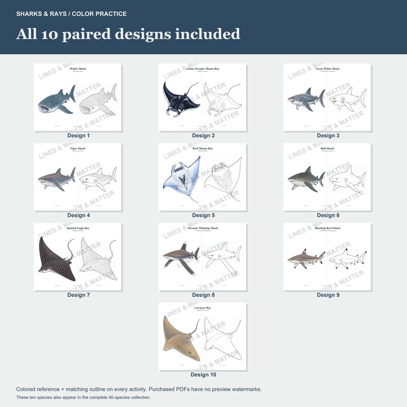 K&ouml;nnte beinhalten: Eine digitale Sammlung von 10 Ausmalbildern mit Haien und Rochen unter dem Titel SHARKS & RAYS / COLOR PRACTICE. Jede Seite enth&auml;lt eine farbige Referenzillustration, gepaart mit einer passenden schwarz-wei&szlig;en Kontur zum Ausmalen.