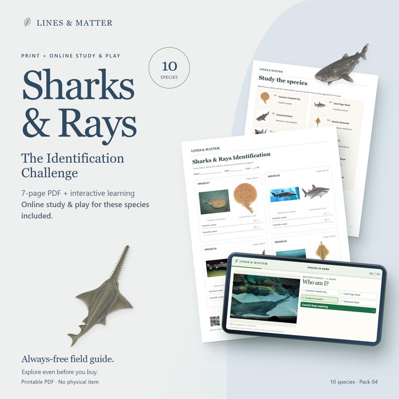 K&ouml;nnte beinhalten: Ein 7-seitiges PDF-Lernset mit dem Titel Sharks & Rays: The Identification Challenge von Lines & Matter. Enth&auml;lt druckbare Identifikationsarbeitsbl&auml;tter mit Bildern verschiedener Arten sowie eine interaktive Online-Lern- und Spieloberfl&auml;che.