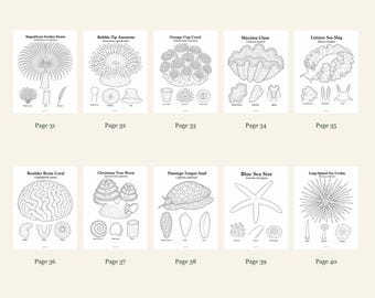 Coral And Reef Life Coloring Pages 31-40: 10-Page Printable Pack, Digital PDF