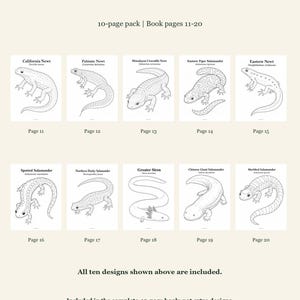 Newts And Salamanders Coloring Pages 11-20: 10-Page Printable Pack, Digital PDF