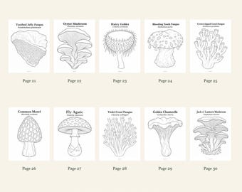 Mushrooms And Fungi Coloring Pages 21-30: 10-Page Printable Pack, Digital PDF