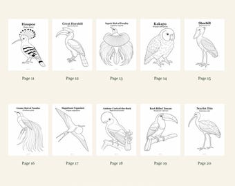 Birds Coloring Pages 11-20: 10-Page Printable Pack, Digital PDF