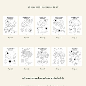Frogs Coloring Pages 21-30: 10-Page Printable Pack, Digital PDF