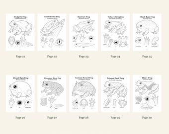Frogs Coloring Pages 21-30: 10-Page Printable Pack, Digital PDF