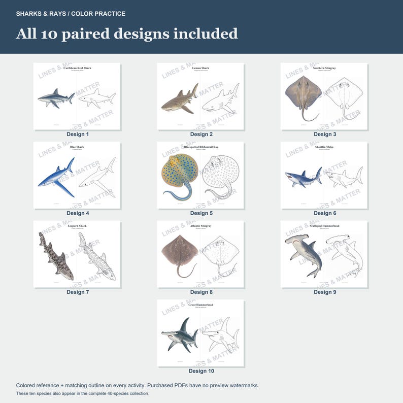 May include: A digital collection of 10 paired shark and ray designs for color practice. Each set features a colored reference illustration alongside a matching black and white line art outline. The text reads SHARKS & RAYS / COLOR PRACTICE.