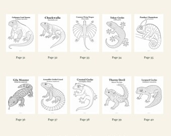 Lizards Coloring Pages 31-40: 10-Page Printable Pack, Digital PDF
