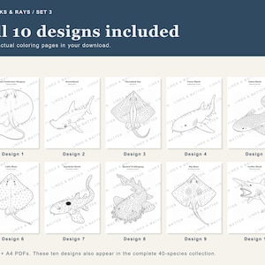 May include: A digital collection of ten shark and ray coloring pages titled SHARKS & RAYS / SET 3. The set includes black and white line art illustrations of various marine species labeled Design 1 through 10, available in Letter and A4 PDF formats.