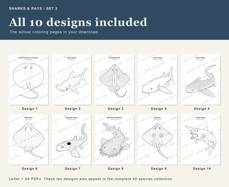 May include: A digital collection of ten shark and ray coloring pages titled SHARKS & RAYS / SET 3. The set includes black and white line art illustrations of various marine species labeled Design 1 through 10, available in Letter and A4 PDF formats.