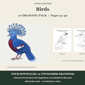 May include: A digital drawing pack titled LINES & MATTER Birds 10-DRAWING PACK | Pages 31-40. It features a colorful illustration of a crowned pigeon and two black and white line art pages showing Wilson's Bird-of-Paradise and a Common Kingfisher.
