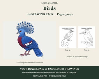 Birds Coloring Pages 31-40: 10-Page Printable Pack, Digital PDF
