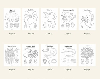 Deep Sea Coloring Pages 21-30: 10-Page Printable Pack, Digital PDF