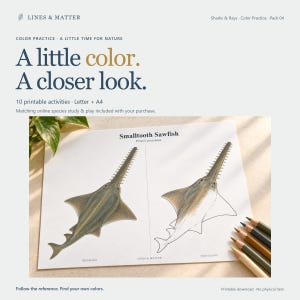 May include: A printable activity sheet titled Smalltooth Sawfish featuring a colored reference image of a sawfish on the left and an outline drawing on the right. The text includes Lines & Matter, Sharks & Rays, and Color Practice. Colored pencils are visible.