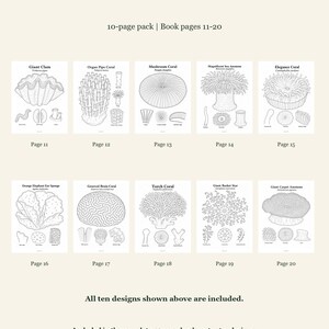 Coral And Reef Life Coloring Pages 11-20: 10-Page Printable Pack, Digital PDF