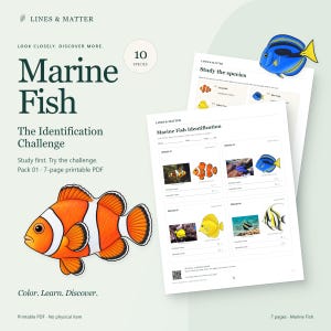 May include: A 7-page printable PDF titled Marine Fish The Identification Challenge by Lines & Matter. The document features illustrations of a clownfish and blue tang, along with identification worksheets for 10 species of marine fish.