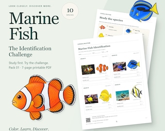 Op de afbeelding: Een 7-pagina's tellende printbare PDF getiteld Marine Fish The Identification Challenge van Lines & Matter. Het document bevat illustraties van een anemoonvis en een doktersvis, samen met identificatiebladen voor 10 vissoorten.