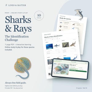 May include: A 7-page PDF educational set titled Sharks & Rays: The Identification Challenge, featuring printed worksheets with shark and ray images, scientific name fields, and an interactive online study interface displayed on a smartphone screen.