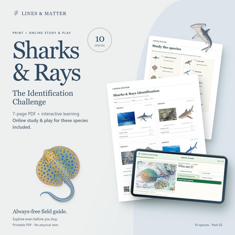 May include: A 7-page PDF educational set titled Sharks & Rays: The Identification Challenge, featuring printed worksheets with shark and ray images, scientific name fields, and an interactive online study interface displayed on a smartphone screen.