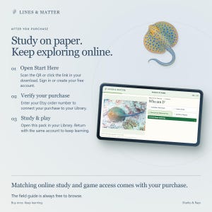 May include: An instructional graphic for Lines & Matter featuring a blue-spotted stingray illustration and a tablet screen displaying a quiz titled Who am I? with multiple-choice options. Text includes Study on paper. Keep exploring online.