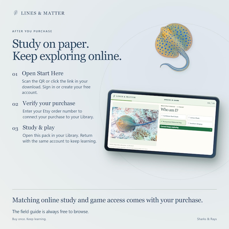May include: An instructional graphic for Lines & Matter featuring a blue-spotted stingray illustration and a tablet screen displaying a quiz titled Who am I? with multiple-choice options. Text includes Study on paper. Keep exploring online.